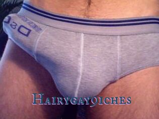Hairygay9iches
