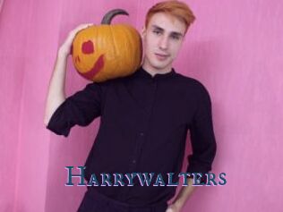 Harrywalters