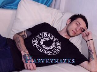 Harveyhayes