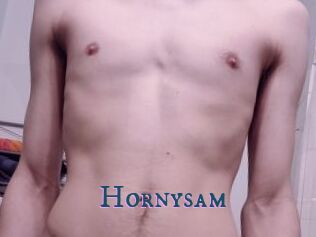 Hornysam