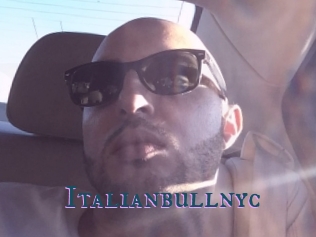 Italianbullnyc