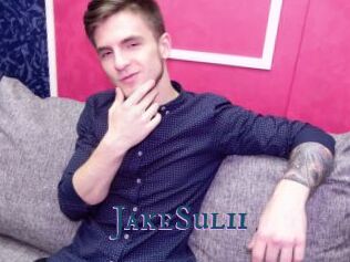 JakeSulii