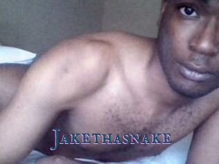 Jake_tha_snake