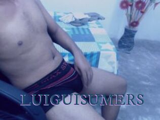 LUIGUISUMERS