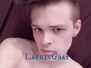 LapkinGray