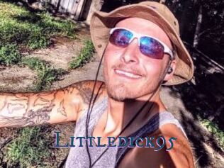 Littledick95