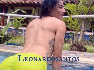 Leonardosantos