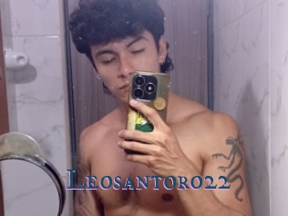 Leosantoro22