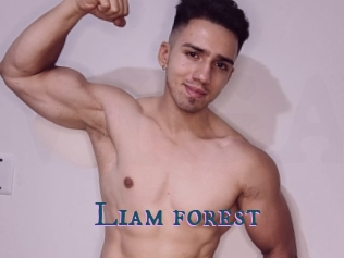 Liam_forest