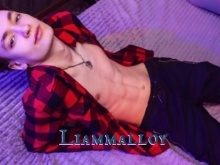 Liammalloy
