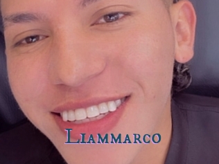 liammarco Video gay streaming