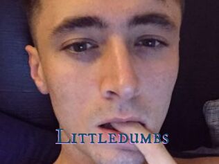 Littledumbs