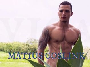 MATIUS_COSLINK