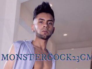 MONSTERCOCK23CM