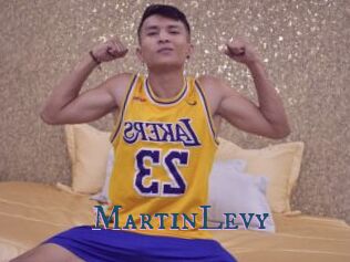 MartinLevy