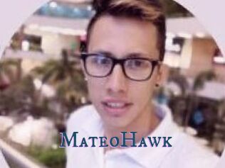 MateoHawk