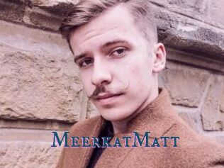 MeerkatMatt