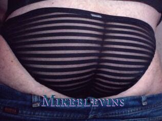 Mikeblevins
