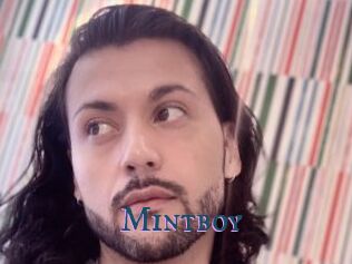 Mintboy