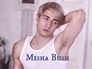 Misha_Bush