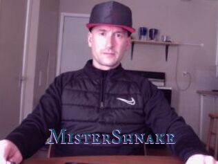 MisterShnake