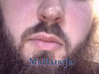 MrHairyJr