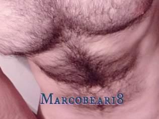 Marcobear18