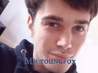 Mr_youngfox