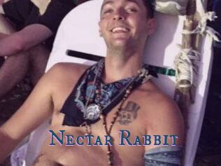 Nectar_Rabbit