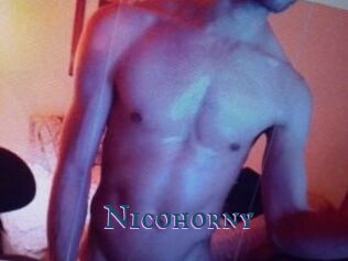 Nicohorny Video gay streaming