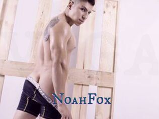NoahFox