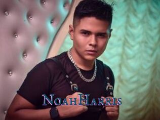 NoahHarris