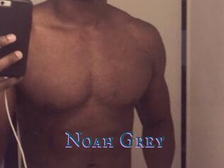 Noah_Grey