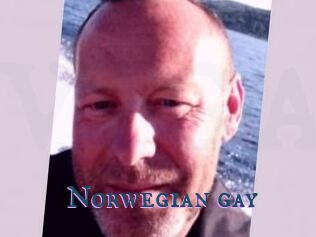 Norwegian_gay