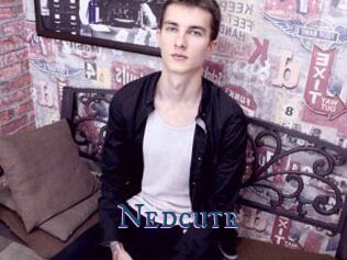 Nedcute
