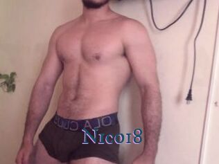 nico18 Video gay streaming