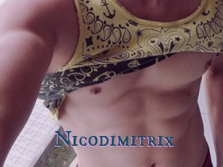 nicodimitrix Video gay streaming