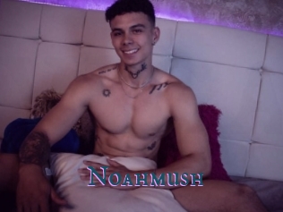 noahmush Video gay streaming