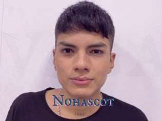 nohascot Video gay streaming