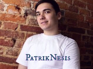 PatrikNesis