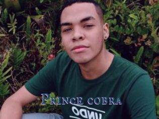 Prince_cobra