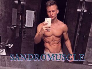 SANDRO_MUSCLE