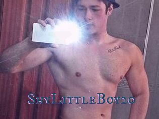 ShyLittleBoy20