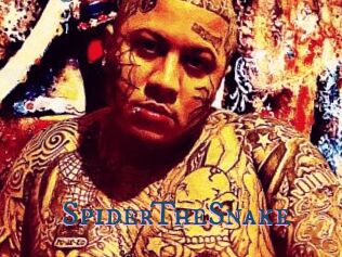 SpiderTheSnake
