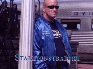 Stallionstraight