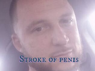 Stroke_of_penis