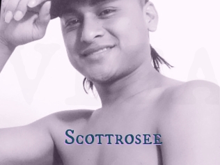 Scottrosee