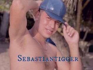 Sebastiantigger