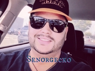 Senorgecko