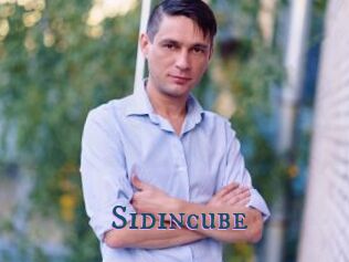 Sid_incube